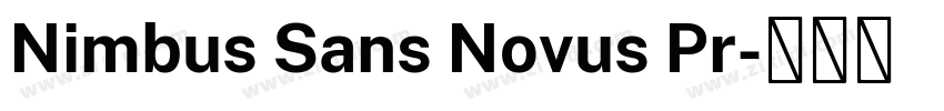 Nimbus Sans Novus Pr字体转换